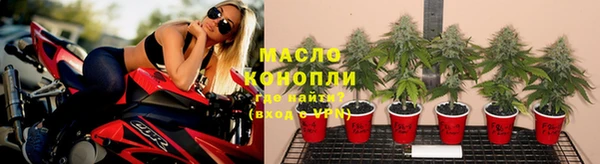 крисы Новокубанск