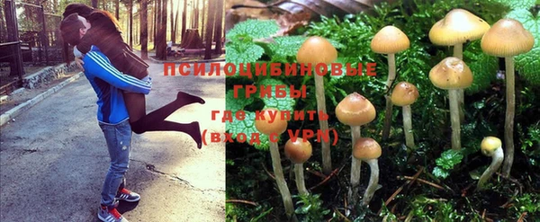 COCAINE Новодвинск