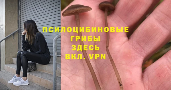 марки lsd Медногорск