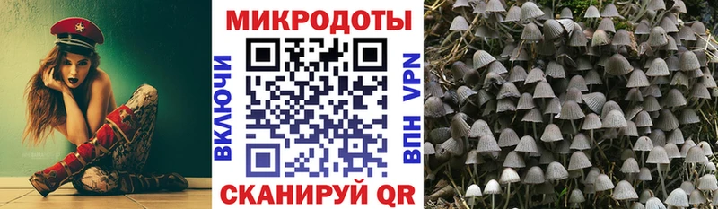 MEGA вход  Мурино  Псилоцибиновые грибы ЛСД 